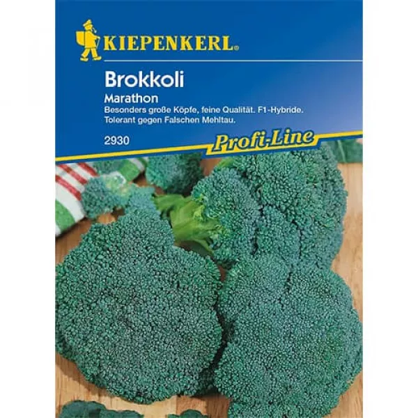 Semințe de broccoli Marathon F1