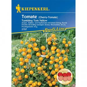 Semințe de roșie Tumbling Tom Yellow