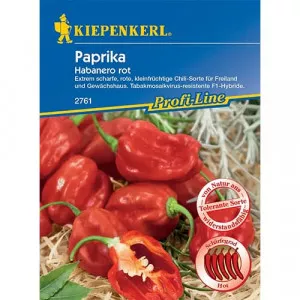 Semințe de ardei iute Habanero red