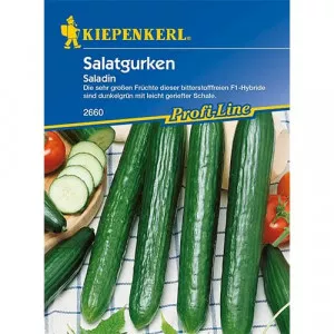 Semințe de castraveți de salată Saladin