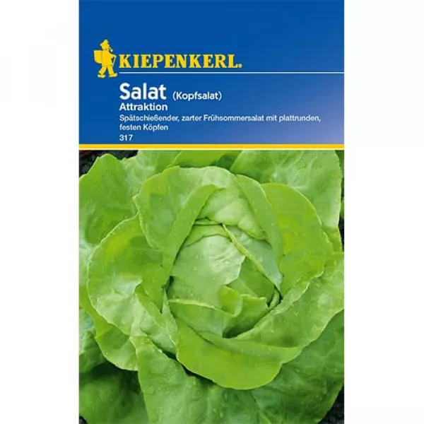 Semințe de salată verde Attraktion