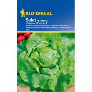 Semințe de salată verde Kagraner Summer 2