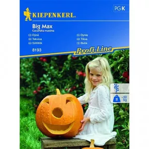 Semințe de dovleac Big Max