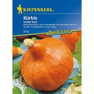 Semințe de dovleac Uchiki Kuri F1