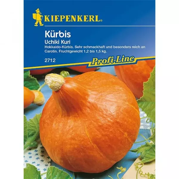 Semințe de dovleac Uchiki Kuri F1
