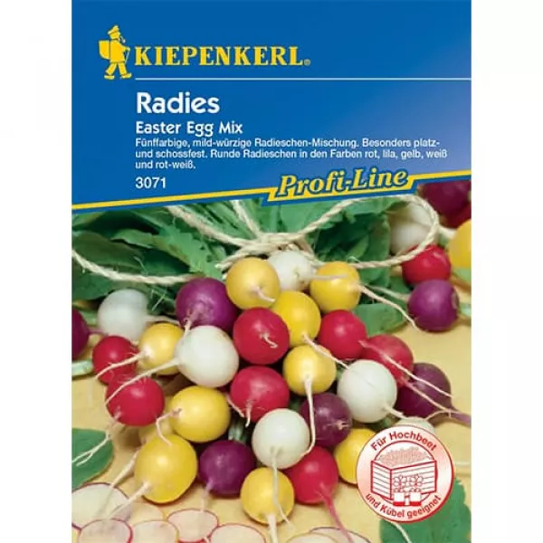 Semințe de ridiche Easter Egg, mix multicolor