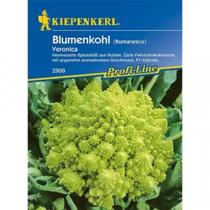 Semințe de conopidă romanesco Veronica F1