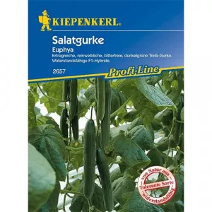 Semințe de castraveți de salată Euphya F1