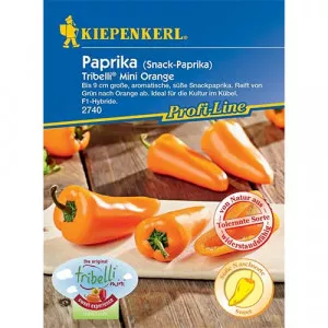 Semințe de ardei dulce Tribelli Mini Orange F1