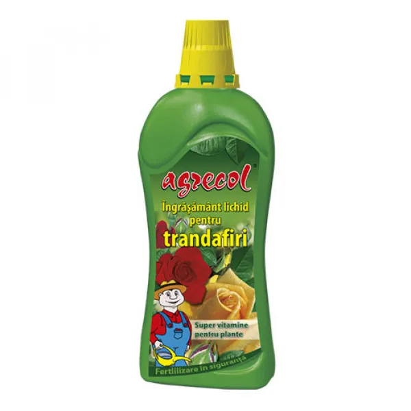 Îngrăşământ pentru trandafiri