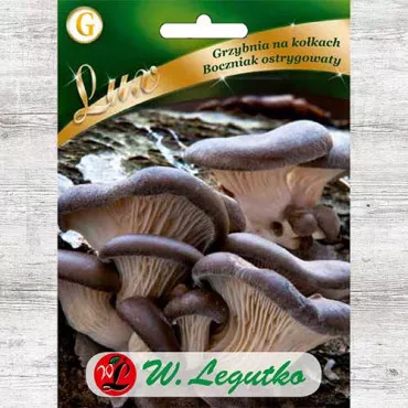 Pleurotus