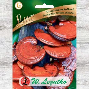 Reishi