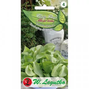 Semințe de baby Leaf - Cicoare de frunze Zuccherina di Trieste