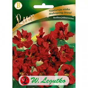 Semințe de condurul doamnei Mahogany Jewel