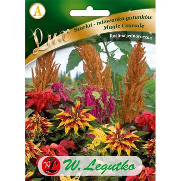 Semințe de moțul curcanului (Amaranthus) Magic Cascade