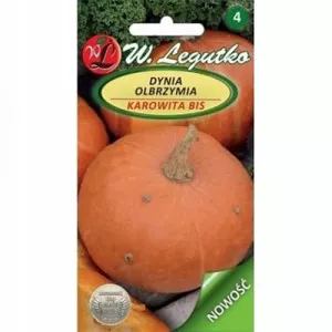 Semințe de dovleac gigant Karowita Bis