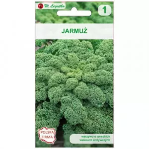 Semințe de varză kale Halbhoher Grüner Krauser (Green Curled)