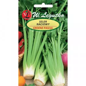 Semințe de Țelină de frunze Plein blanc Pascal