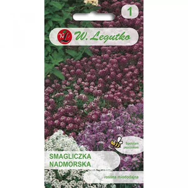 Semințe de alyssum, mix multicolor