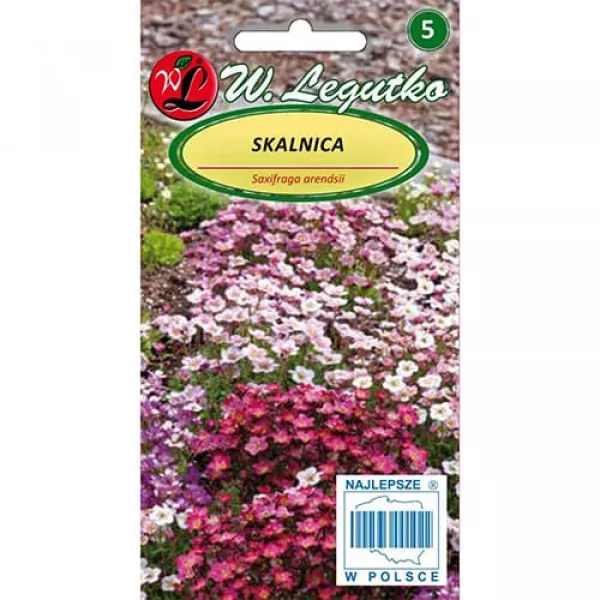 Semințe de saxifraga, mix multicolor
