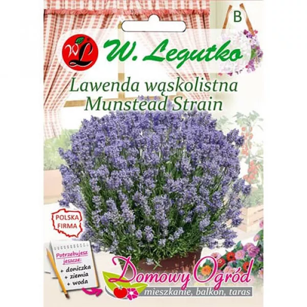 Semințe de lavandă Munstead Strain