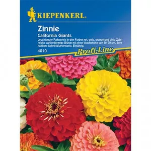 Semințe de zinnia (Cârciumăreasă) California Giants