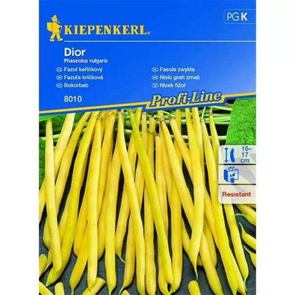 Semințe de fasole Dior