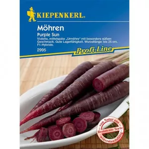 Semințe de morcovi Purple Sun F1