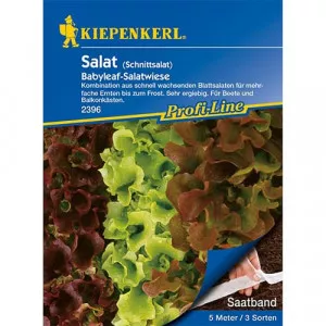 Semințe de salată de frunze Baby Leaf, amestec de soiuri