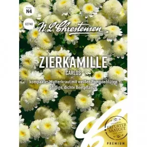 Semințe de mușețel ornamental Carlos