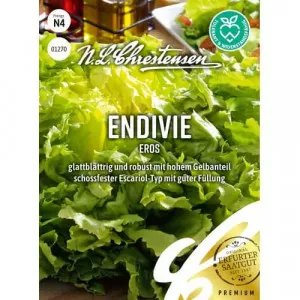 Semințe de Andive Eros