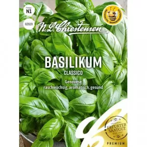 Semințe de busuioc Genovese Classico