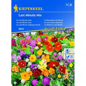 Semințe de flori Last Minute, mix multicolor