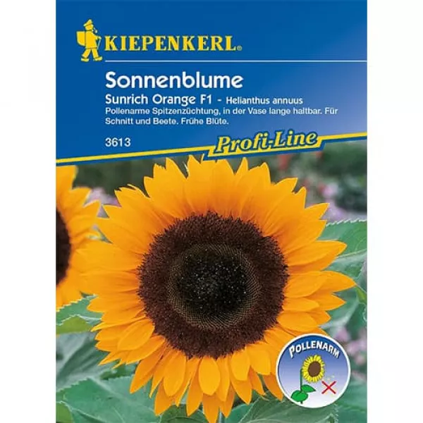Semințe de floarea soarelui decorativă Sunrich Orange F1