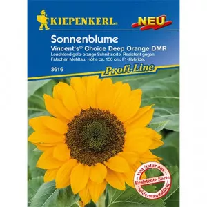 Semințe de floarea soarelui decorativă Vincent's Deep Orange F1