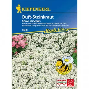 Semințe de alyssum Maritima Snow Crystals