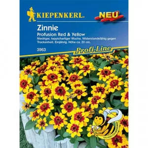 Semințe de zinnia (Cârciumăreasă) Red & Yellow