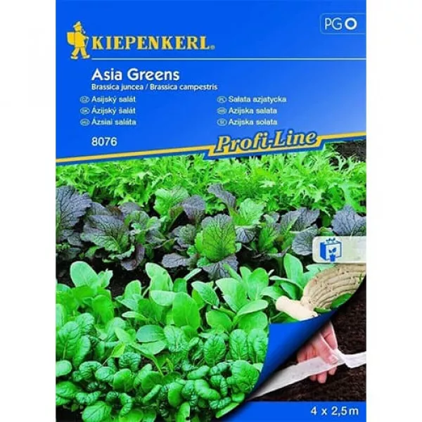 Semințe de salată asiatică Asia Greens, semințe pe bandă Semințe de salată asiatică Asia Greens, semințe pe bandă