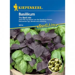 Semințe de busuioc Try Basil, amestec de soiuri