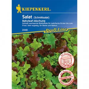 Semințe de Salată Babyleaf, amestec de soiuri