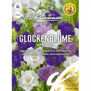 Semințe de clopoțel (Campanula) Cup & Saucer