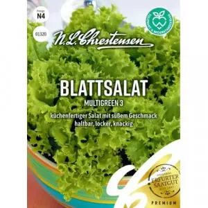 Semințe de salată verde Multigreen 3
