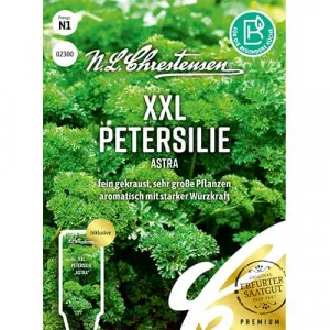 Semințe de pătrunjel de frunze Astra XXL