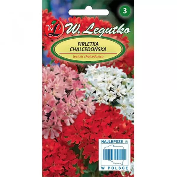 Semințe de lychnis chalcedonica roșu