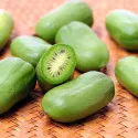 Mini kiwi Issai