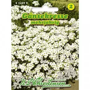 Semințe de Arabis caucasica (Cres de munte)