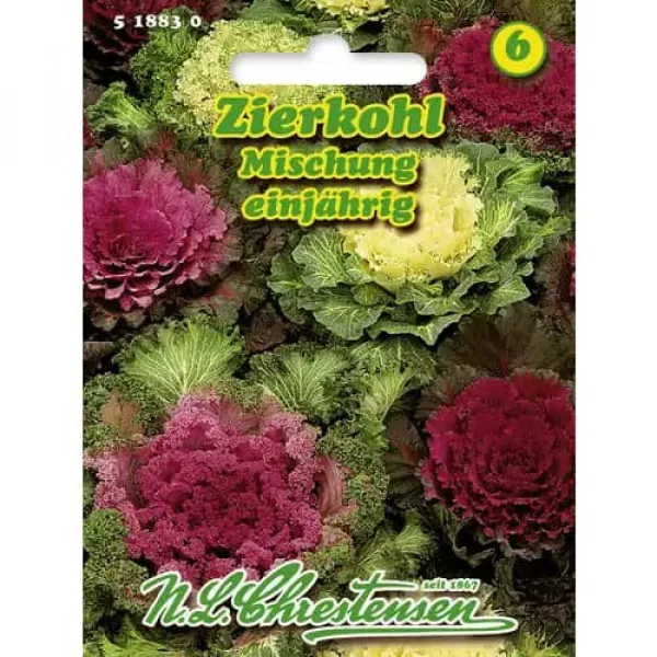 Semințe de varză ornamentală, mix multicolor