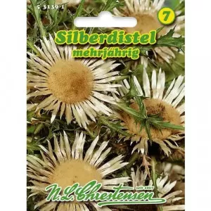 Semințe de ciurul zânelor (Carlina aucaulis)