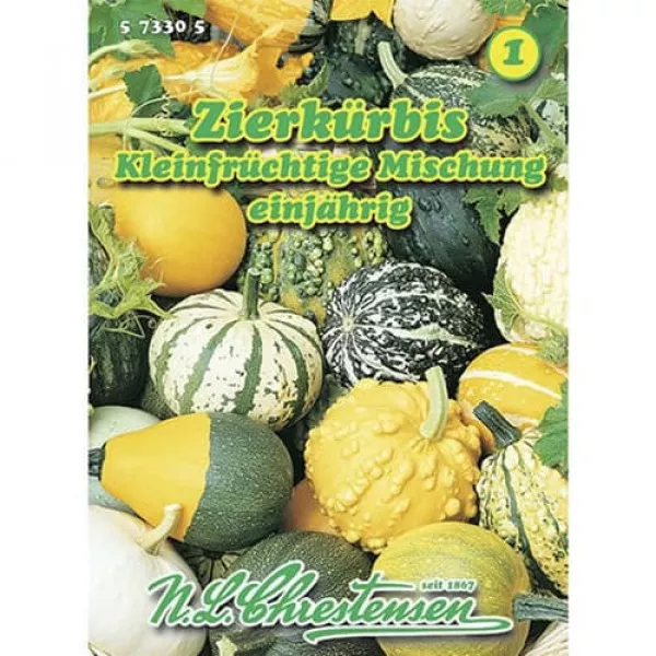 Semințe de dovleac ornamental pitic, mix multicolor