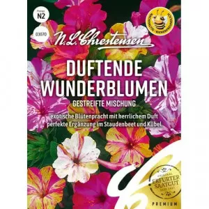 Semințe de frumoasa nopții (Mirabilis) Flower Wonder, mix multicolor